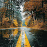 youssef_elashry