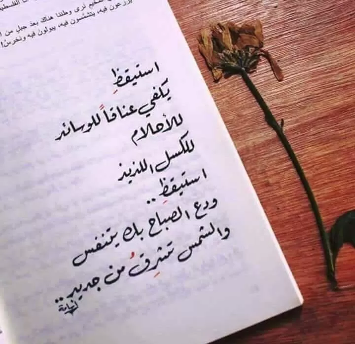 استطيع كتابة المقالات 