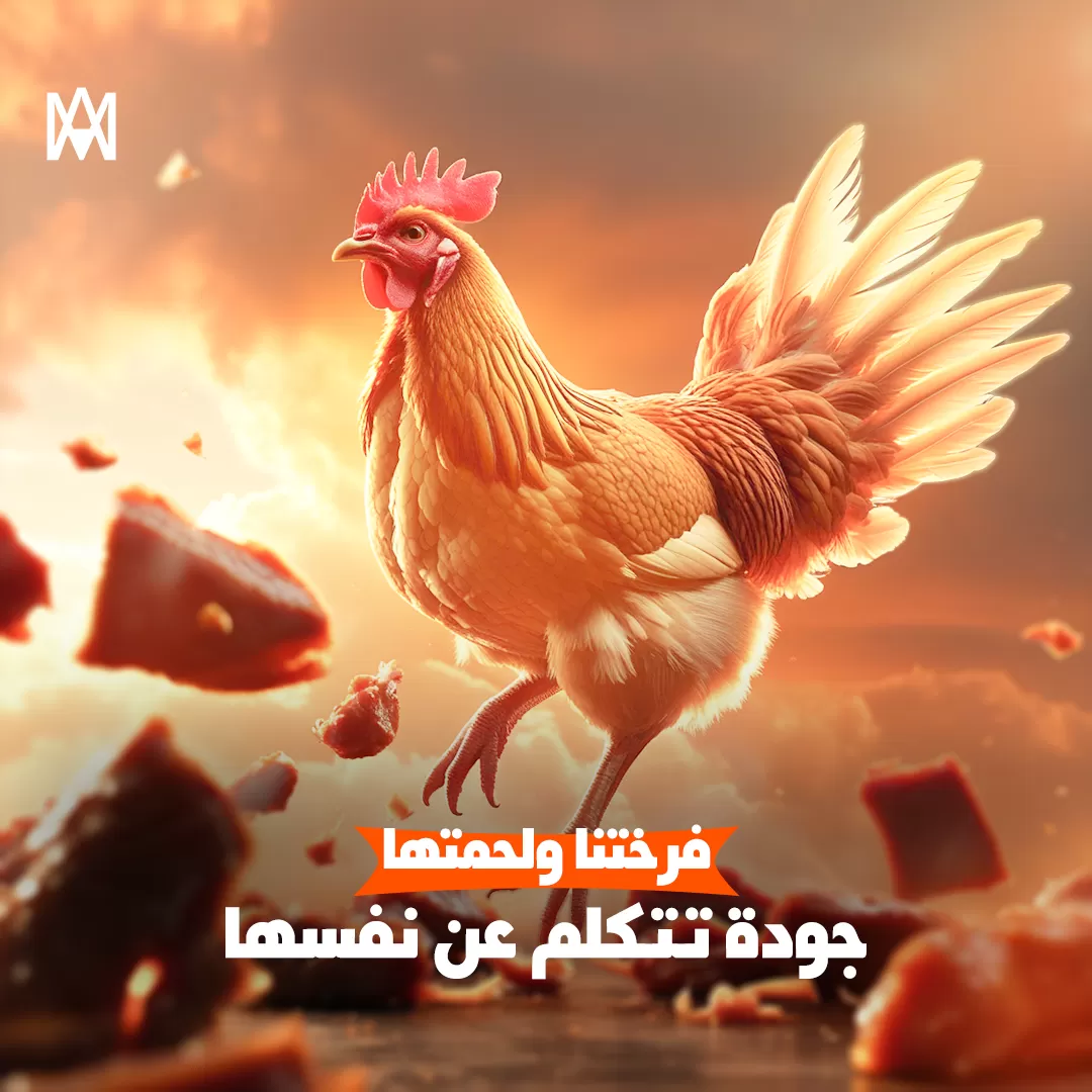 مصمم جرافيك 