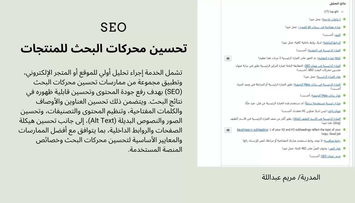 تضبيط SEO (تحسين محركات البحث) لمنتجات المواقع الالكترونية