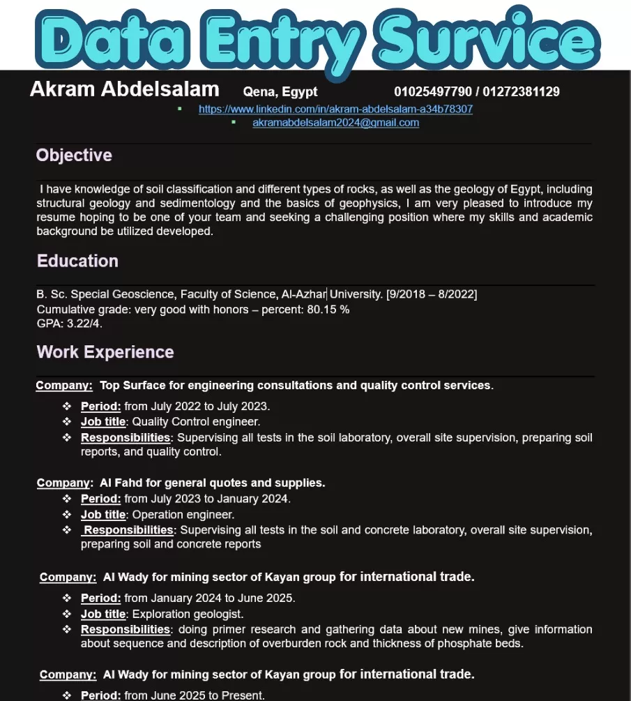 أنا سوف أقوم بإدخال البيانات على Excel و Word بدقة وسرعة وإحترافية عالية 