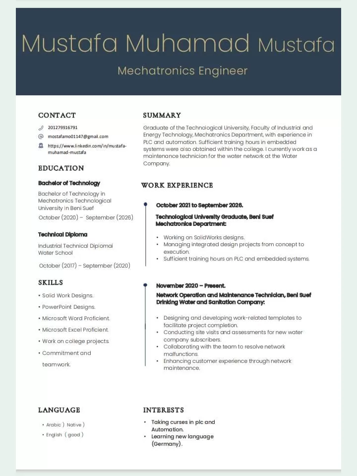 خدمات CVs و الكتابة على Microsoft Word  وعمل شيت Microsoft Excel وعروض Microsoft PowerPoint