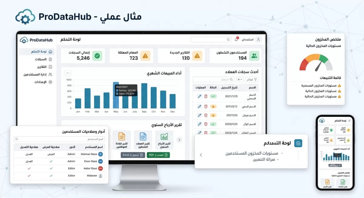 تحويل ملفات Excel إلى نظام ويب احترافي وقاعدة بيانات متكاملة