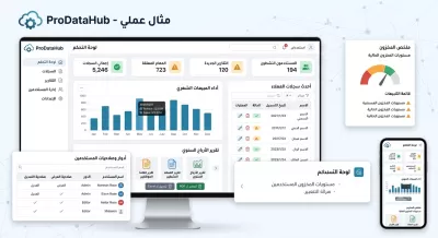 تحويل ملفات Excel إلى نظام ويب احترافي وقاعدة بيانات متكاملة
