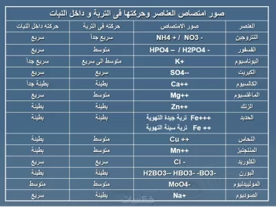 خدمة ادارية
