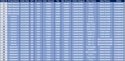 إدخال وتنظيم البيانات بدقة باستخدام Excel