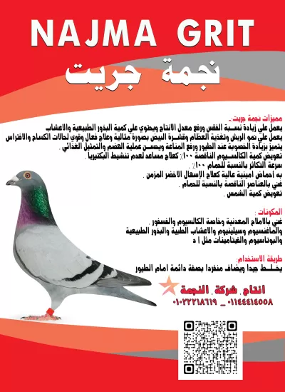 تصميمات سوشيال ميديا
