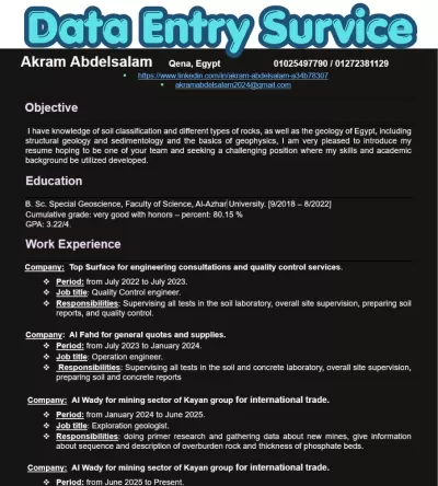 أنا سوف أقوم بإدخال البيانات على Excel و Word بدقة وسرعة وإحترافية عالية 