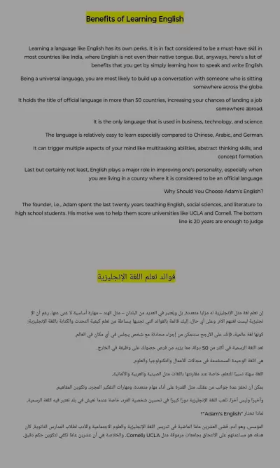 مترجم إحترافي billingual Translator 