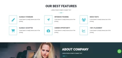 BinBug CMS 2, موقع وادارة محتوى 