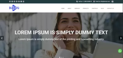 BinBug CMS 2, موقع وادارة محتوى