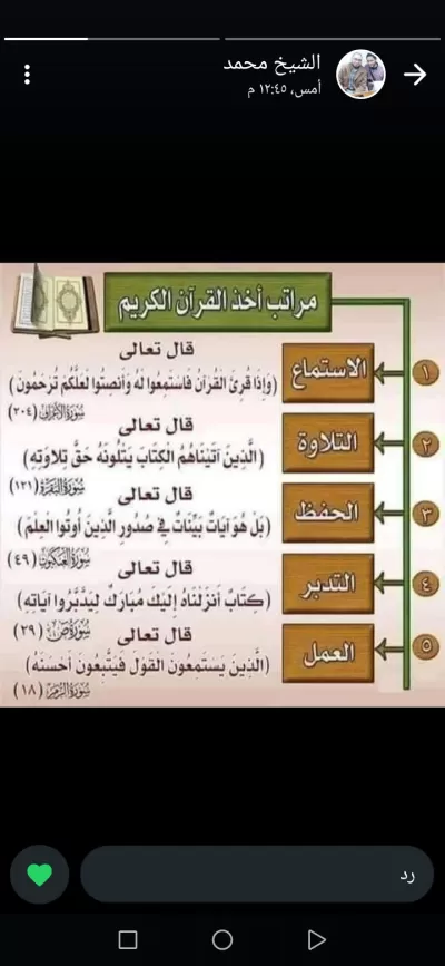 أقوم بالكتابة والترجمة وتنسيق الكتب