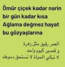 ترجمة الى التركية