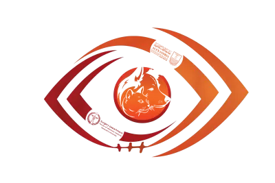 تصميم بوسترات سوشيال مييديا