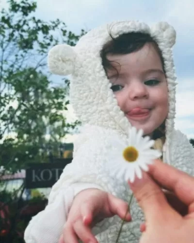 ادخال البيانات والكتابه والترجمه 